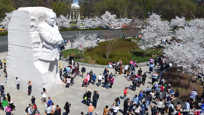 Martin Luther King, Jr. Memorial - Washington D.C.