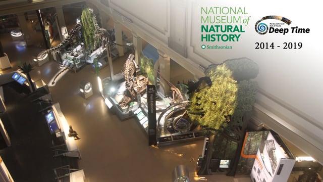 Smithsonian's National Museum of Natural History Fossil Hall